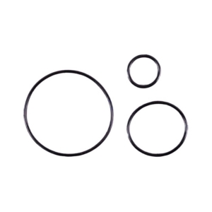 BlueRiiot Blue Connect Gasket assembly - 4408040319A