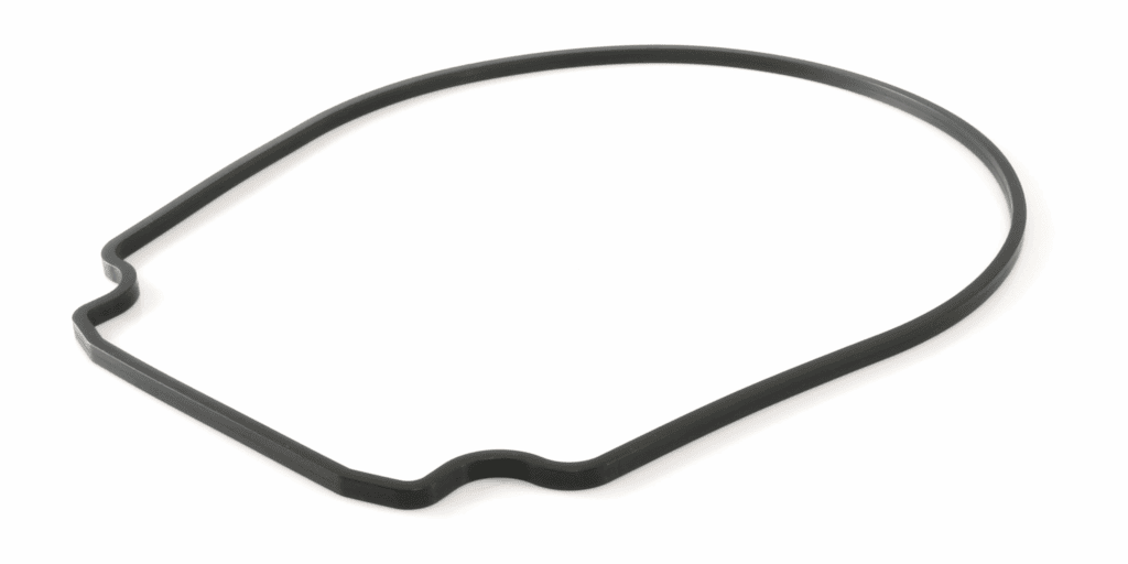 Pentair R357100 – Seal Plate Gasket for WhisperFlo & IntelliFlo Pumps (Black) - 1