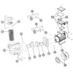 Hayward PowerFlo II / Powerline Pumps (SP8102XE31 to SP8115XE221) - 1