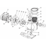 Pentair Supermax S5P1R pool pump