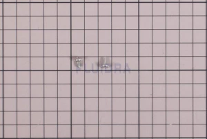 Zodiac M3 x 5 mm lower fixing screw pack of 2 - R0742400