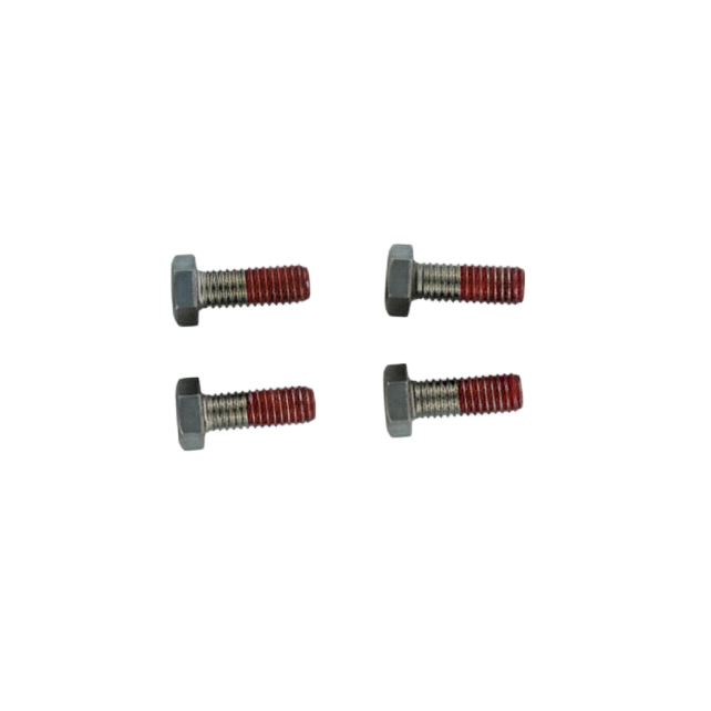 Pentair mounting plate screws for Challenger, Pinnacle, Whisperflo and Superflo pumps - R354290