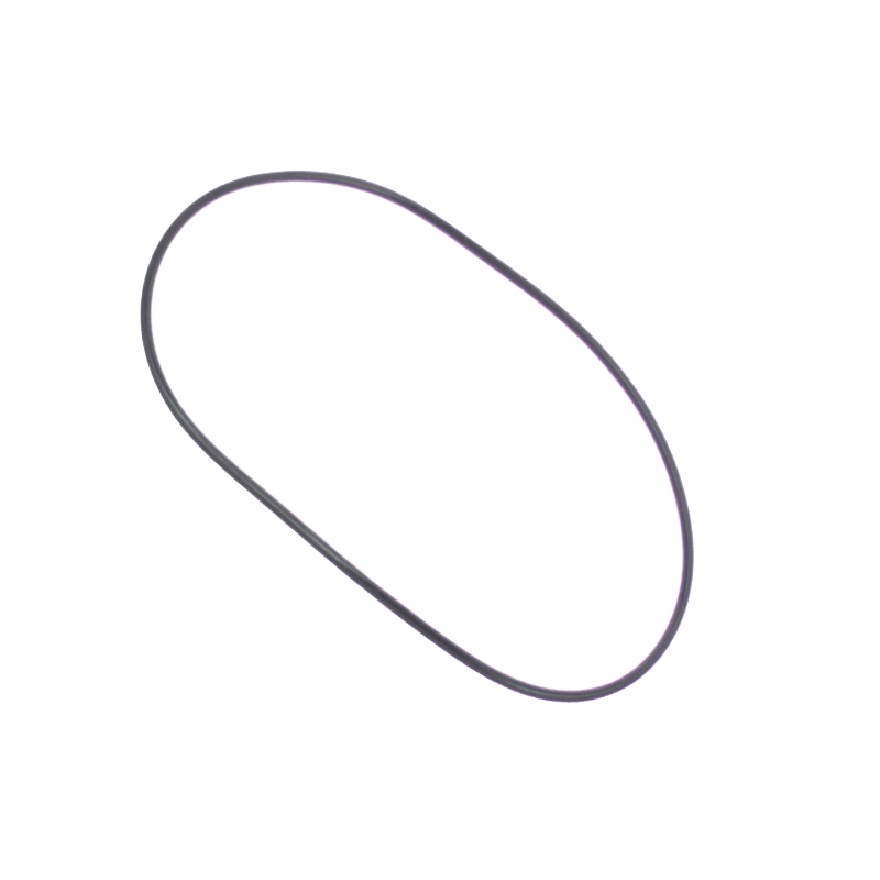 R355619 - Housing gasket for pump Pinnacle/Superflo 42.192 (PENTAIR)