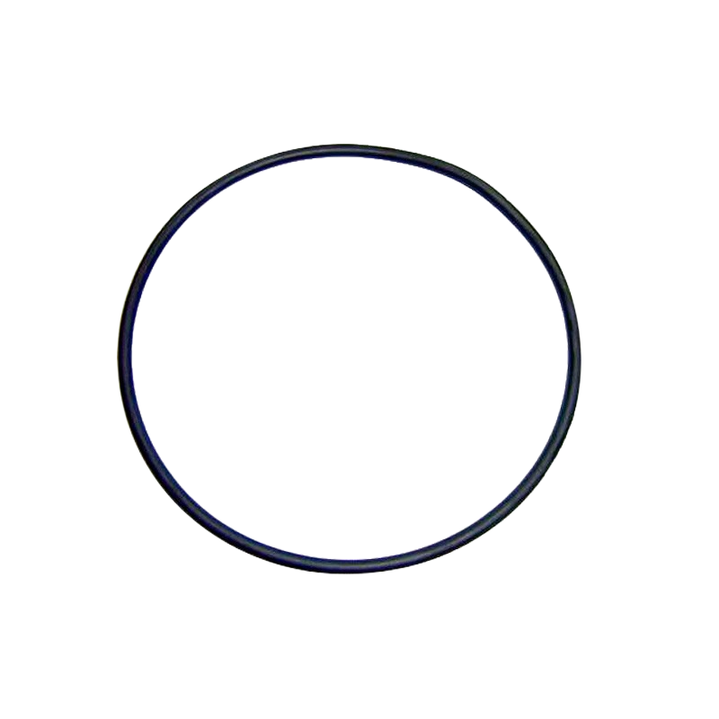 Astralpool o-ring 118 x 4 mm - 4405010437