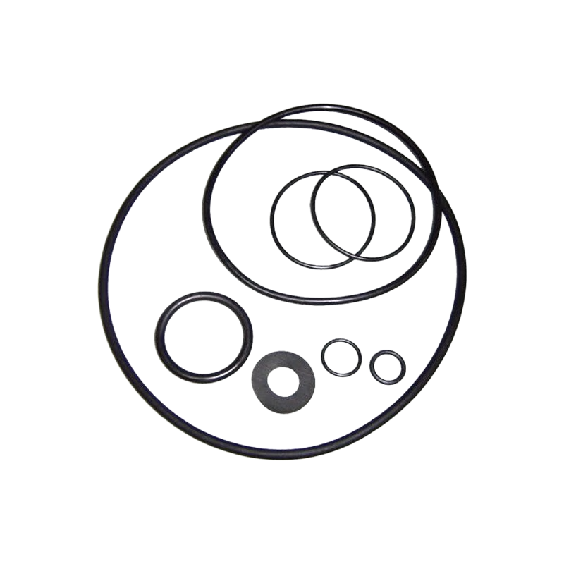 Astralpool rubber gasket set 0.75 HP to 1.25 HP - 4405010403