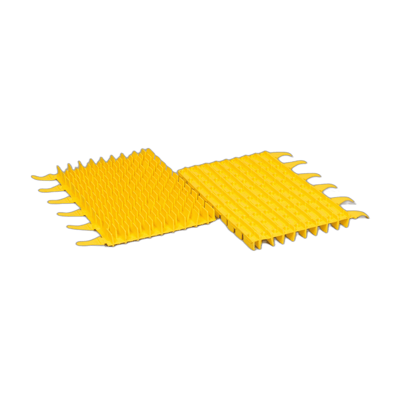 Zodiac - CX20 / CX35 brush scrubber PMS108 (set of 2) - R0633104 - 1