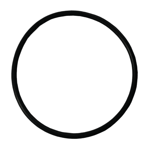 Pentair Triton NEO TM O-Ring (Top Mount Filter) - 1