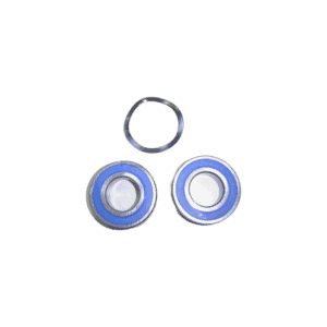 AstralPool Maxim - Motor Bearings 5.5 HP
