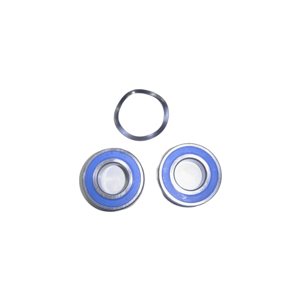AstralPool Maxim - Motor Bearings 5.5 HP - 1