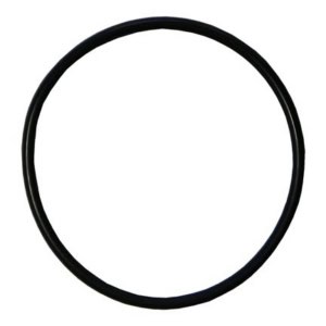 Pentair Tagelus Azur MPV Centre Pipe O-Ring R281018