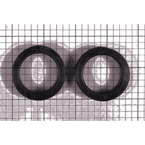 Fluidra - Concave Gasket 2''