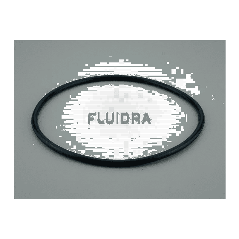 Fluidra - Filter Lid Gasket - 1