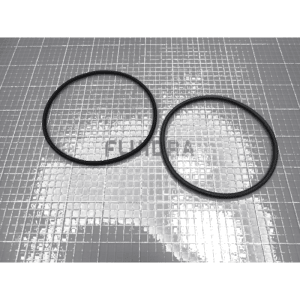 Fluidra - Filter O-Ring Set (Pack of 2)