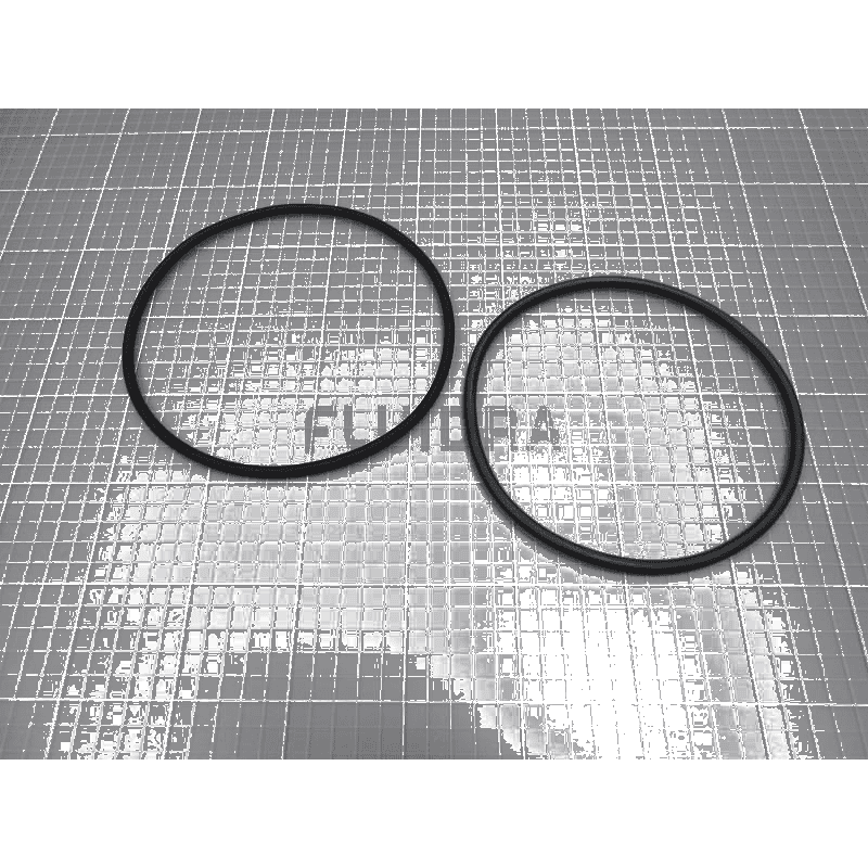 Fluidra - Filter O-Ring Set (Pack of 2) - 1