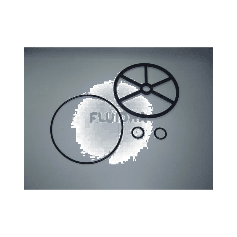 Fluidra - 2'' Multiport Valve Gasket Set - 1