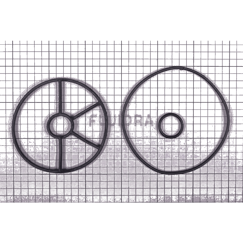 Fluidra - 1½'' Valve Gasket Set - 1