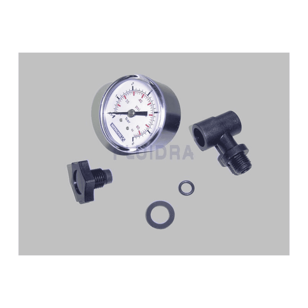 Fluidra - Complete Pressure Gauge Unit 6 kg/cm² - 1