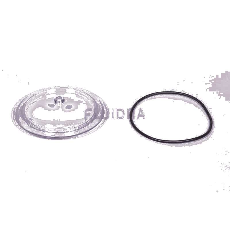 Fluidra - Transparent Filter Lid with O-Ring - 1