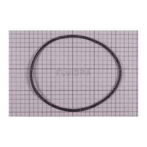 Fluidra - Sand Filter Lid O-Ring for Cantabric & Millennium Filters