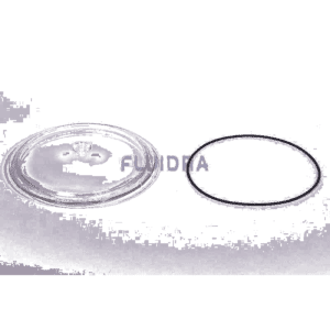 Fluidra - Transparent Filter Lid Ø220mm with O-Ring