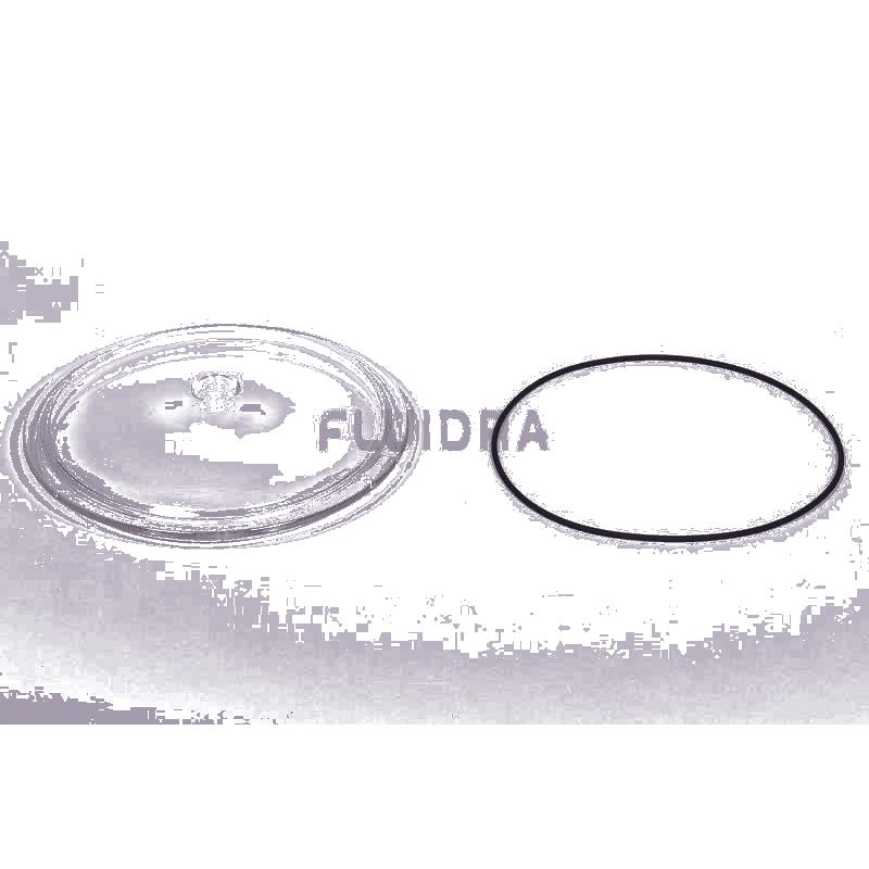 Fluidra - Transparent Filter Lid Ø220mm with O-Ring - 1
