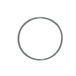 Fluidra - Filter Lid Gasket