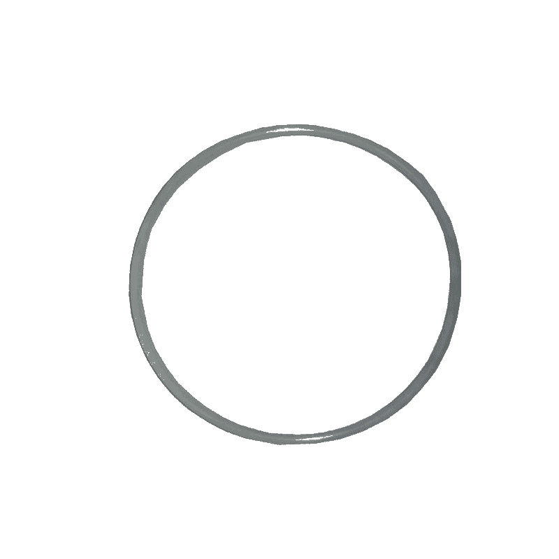 Fluidra - Filter Lid Gasket - 1
