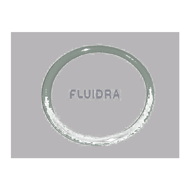 Fluidra - O-Ring Ø54x2.5mm - 1