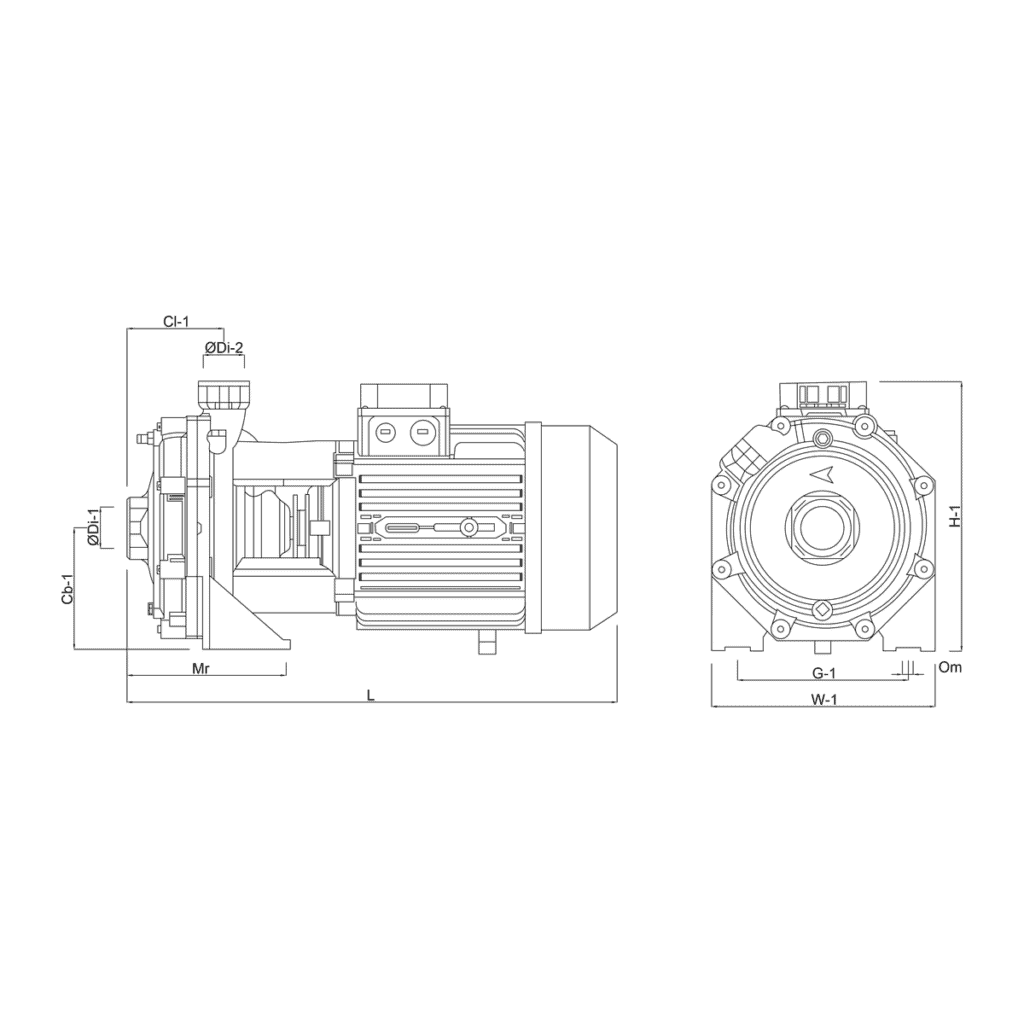 Foras - Centrifugal Pump Cast Iron KB 1000 T 7.5kW 33m³/h 2" x 1¼" - 0920280 - 4